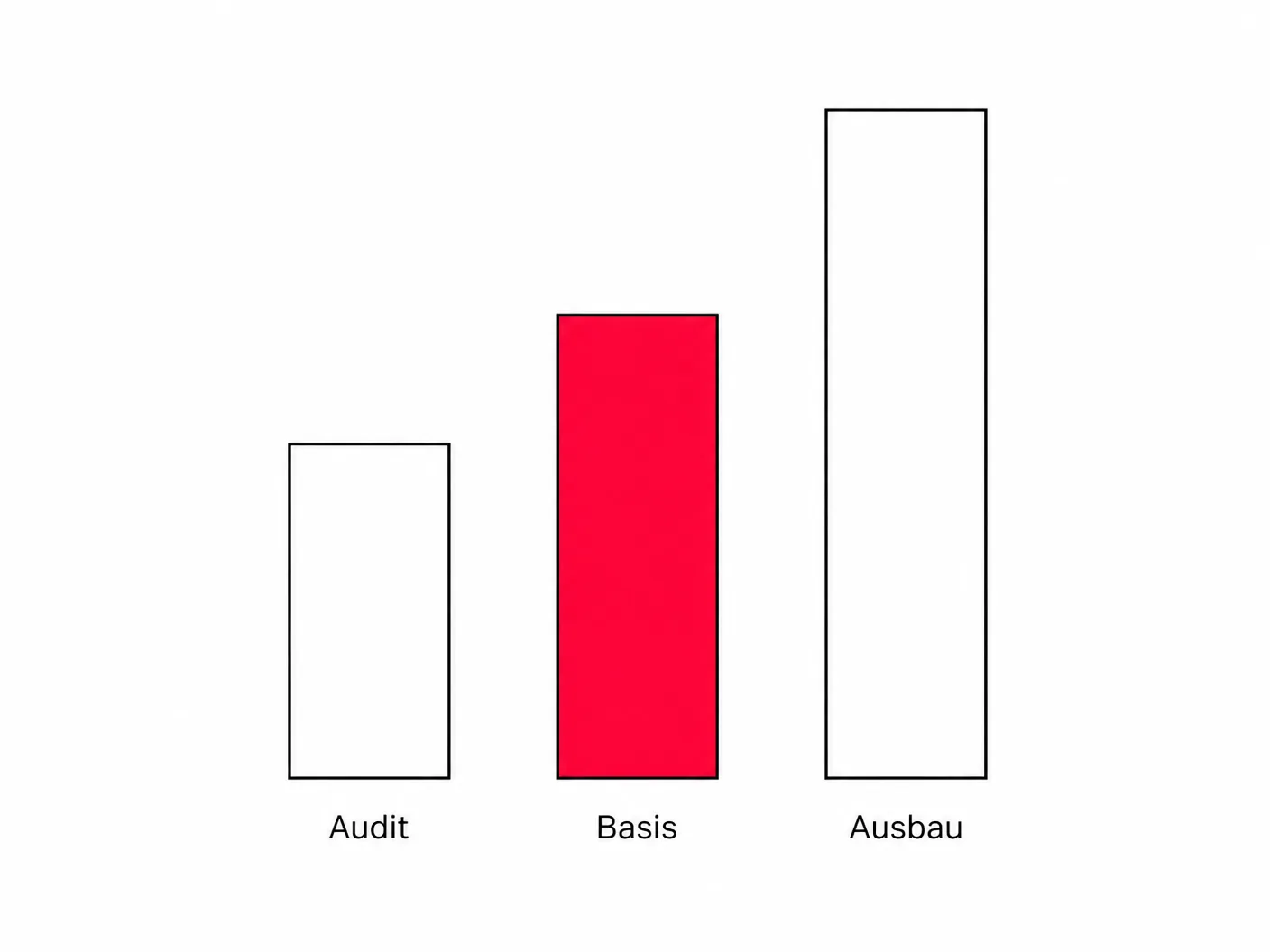 Diagramm mit drei unterschiedlich hohen Balken für Audit, Basisbetreuung und Ausbau