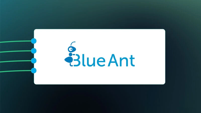 Blue Ant: Explainer-Video und animierte UI-Snippets für die Multi-Projektmanagement-Software